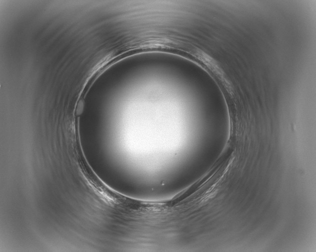 X0000059791234200510211108