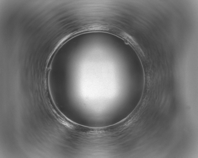 X0000059791236200510211109