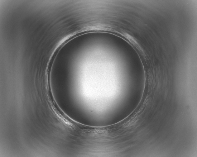 X0000059791238200510211109