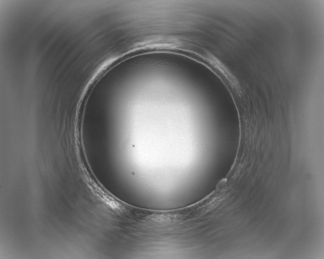 X0000059791240200510211109