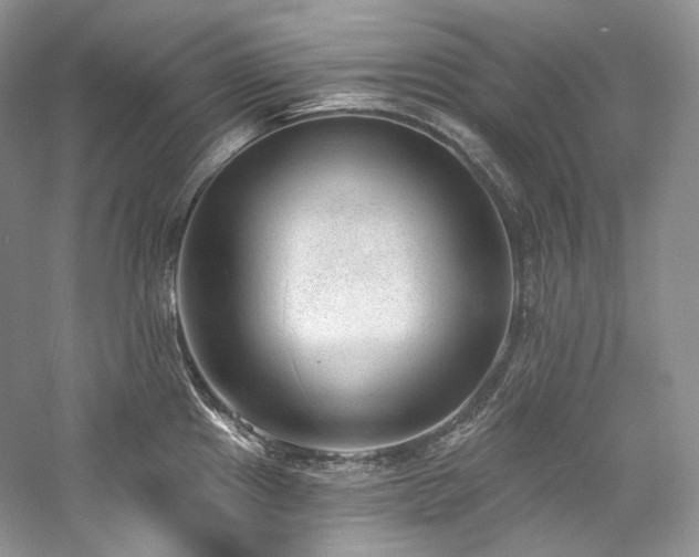 X0000059791241200510211109