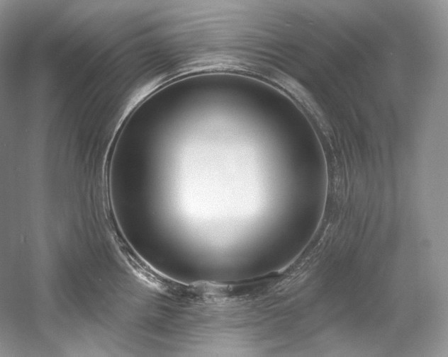 X0000059791242200510211109
