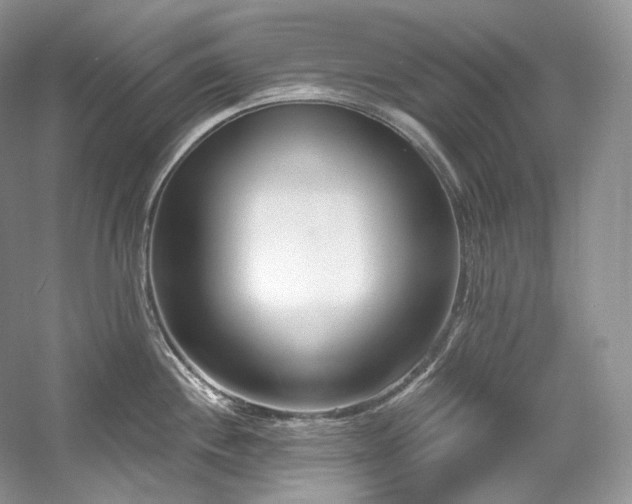 X0000059791244200510211109