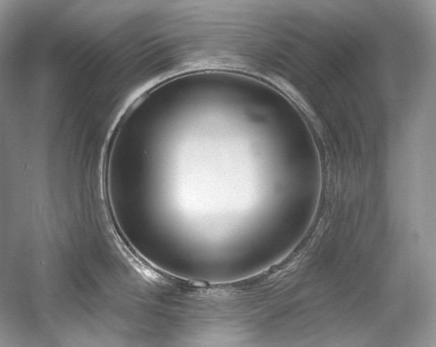 X0000059791246200510211109