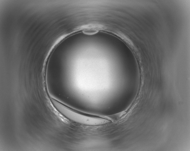 X0000059791248200510211109