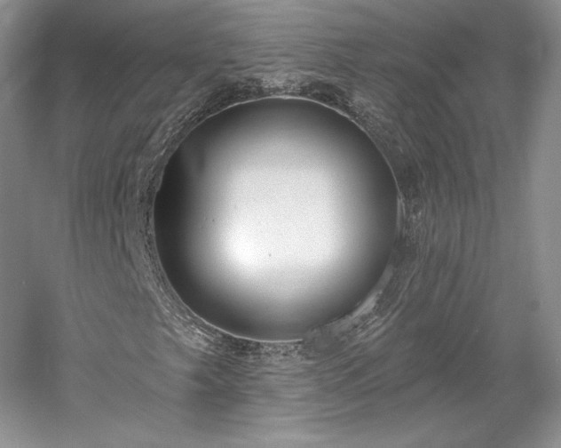 X0000059791249200510211108