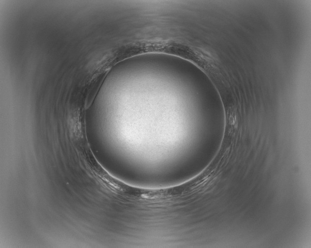 X0000059791252200510211108