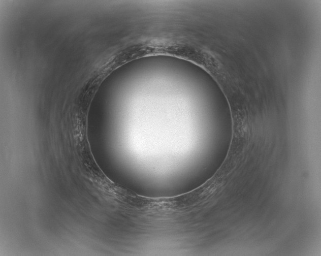X0000059791253200510211108