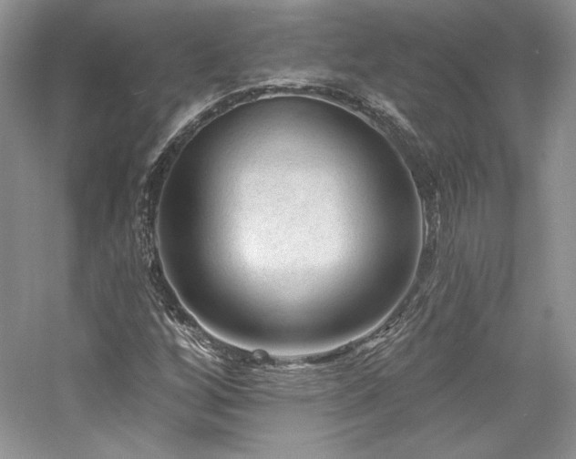 X0000059791256200510211108