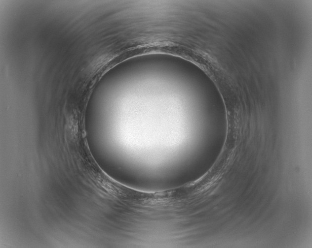 X0000059791257200510211108
