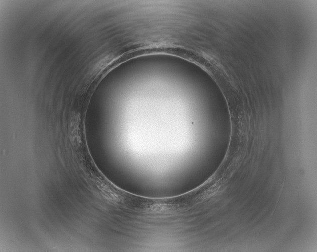 X0000059791265200510211108