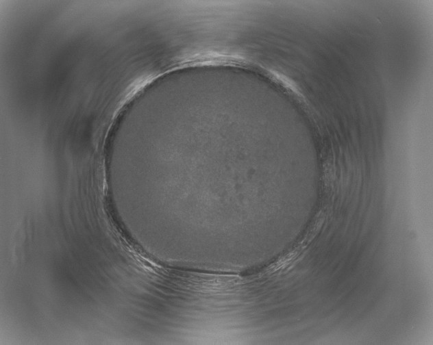 X0000059791267200510211108
