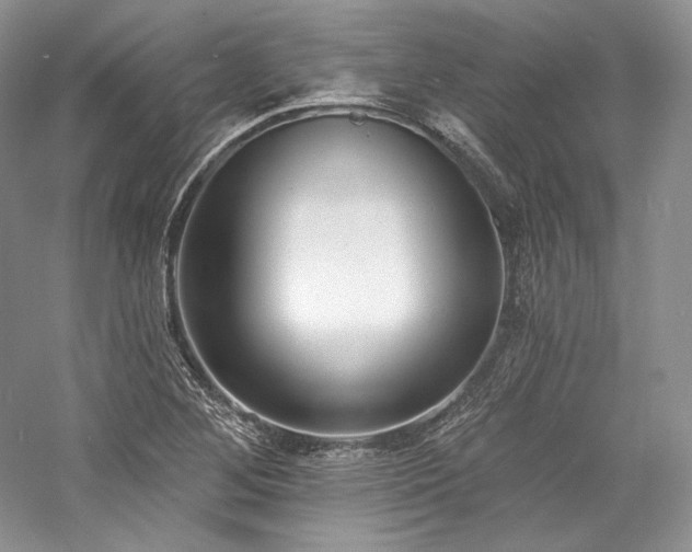 X0000059791268200510211108