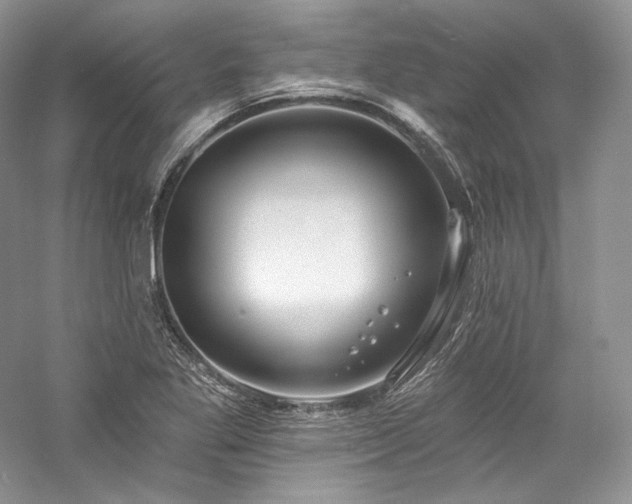 X0000059791269200510211108
