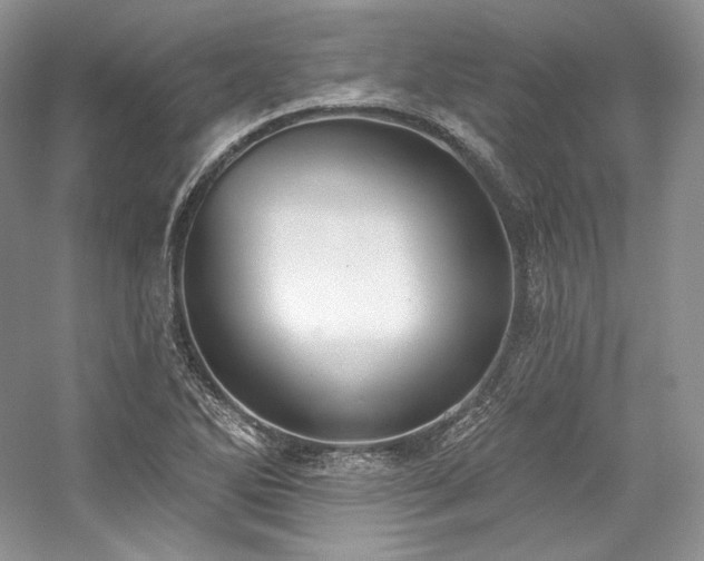 X0000059791270200510211108