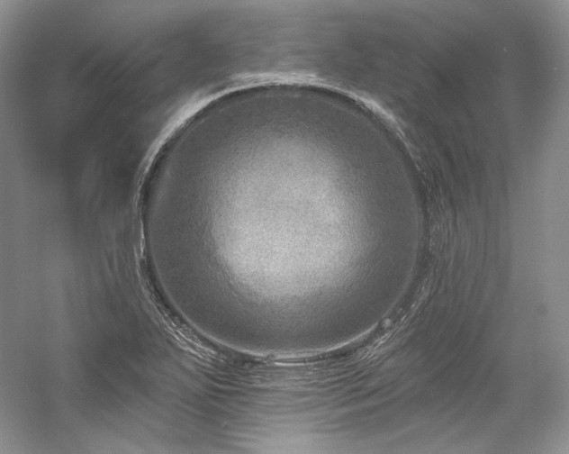 X0000059791271200510211108