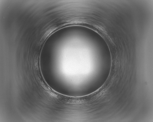 X0000059791273200510211107