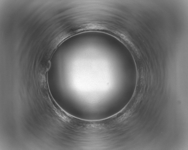 X0000059791281200510211107