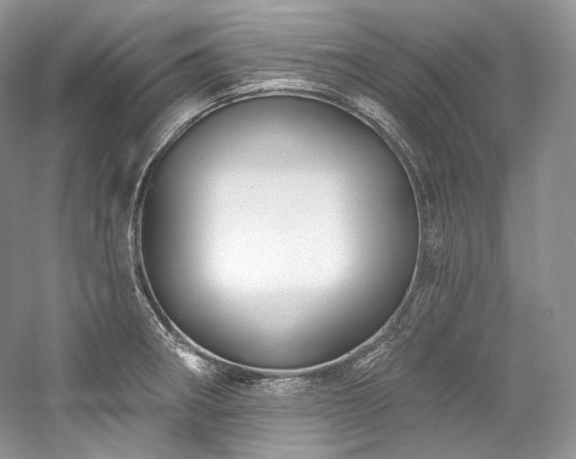 X0000059791282200510211107