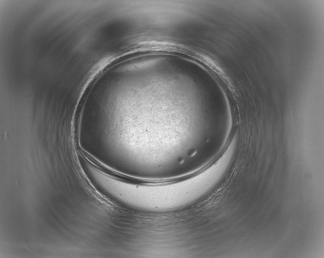 X0000059791283200510211107