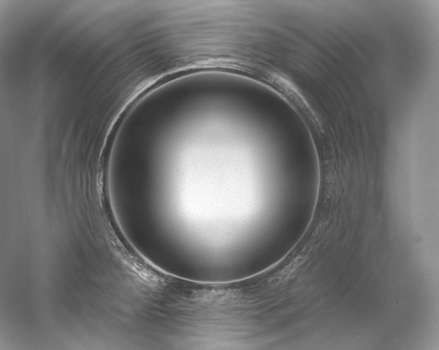 X0000059791284200510211107