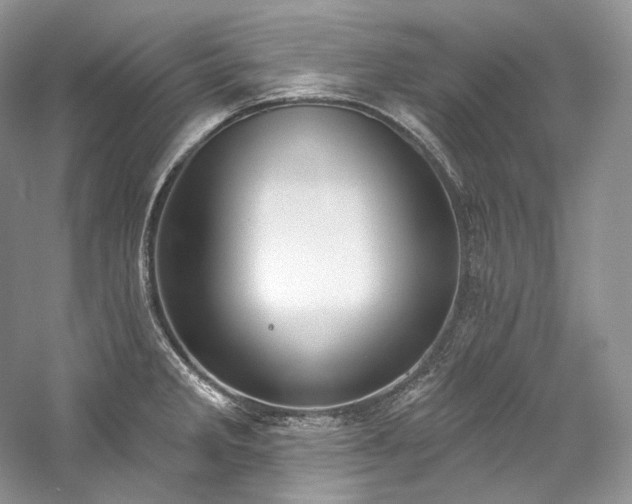 X0000059791285200510211107
