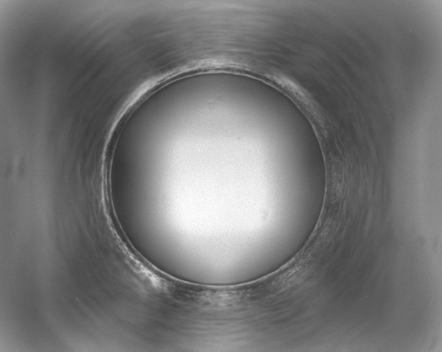 X0000059791286200510211107