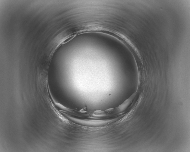 X0000059791289200510211107