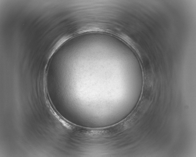X0000059791290200510211107