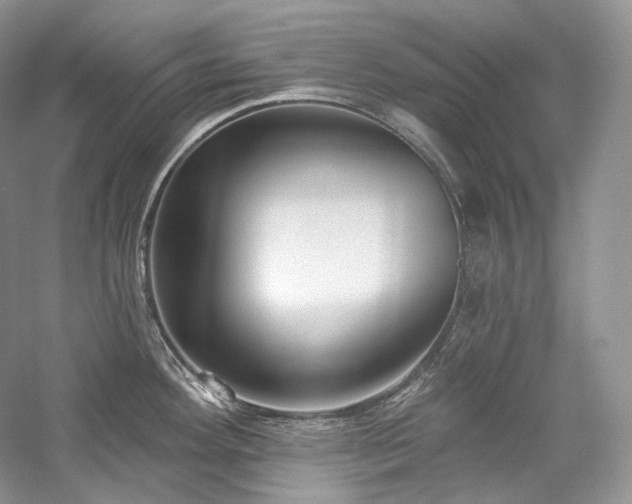 X0000059791292200510211107