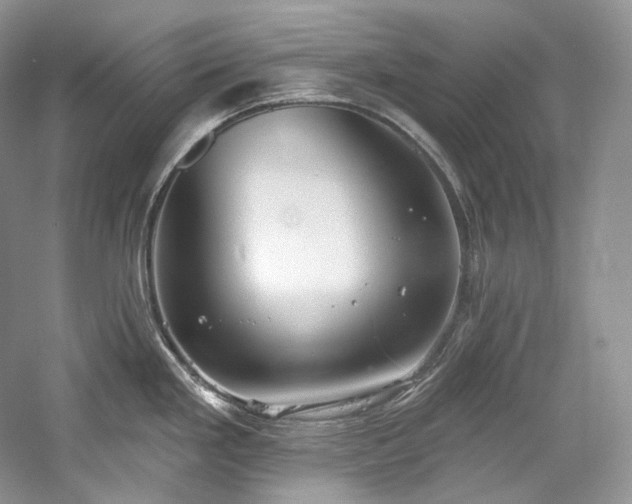 X0000059791293200510211107
