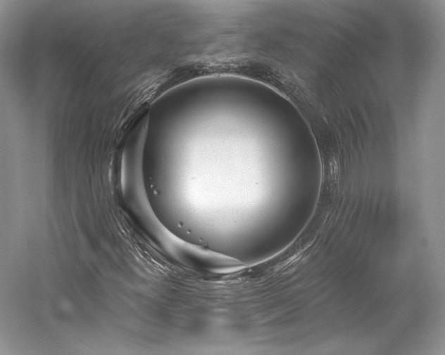 X0000059791300200510211106