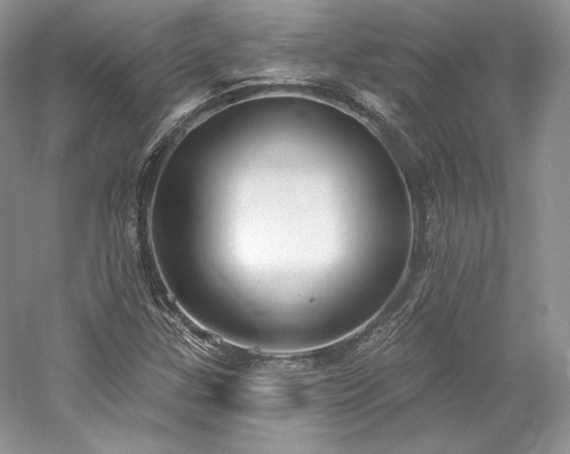 X0000059791307200510211106