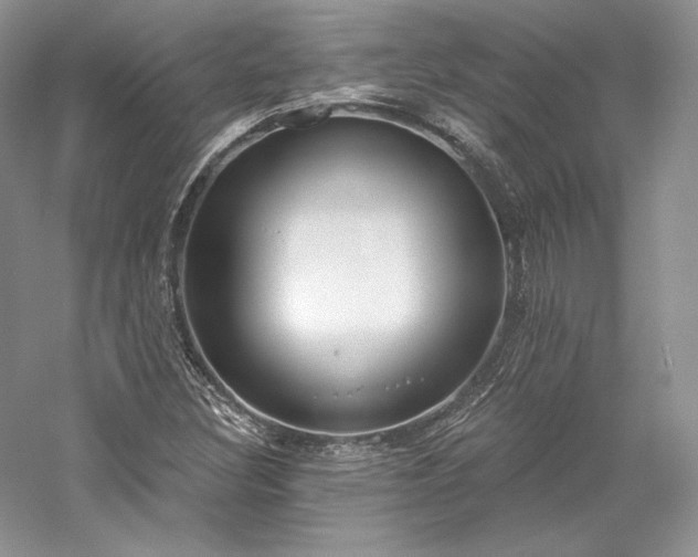 X0000059791308200510211106