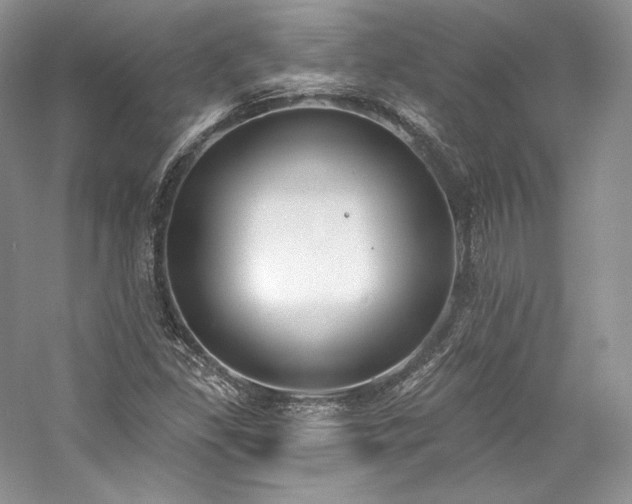 X0000059791309200510211106