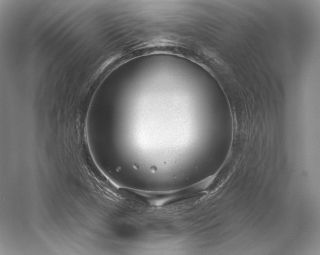 X0000059791313200510211107
