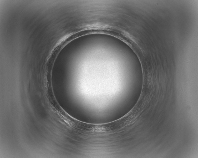 X0000059791315200510211107