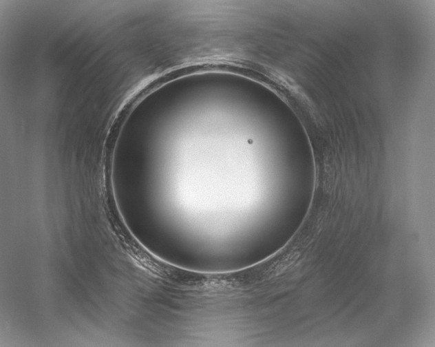 X0000059791316200510211107