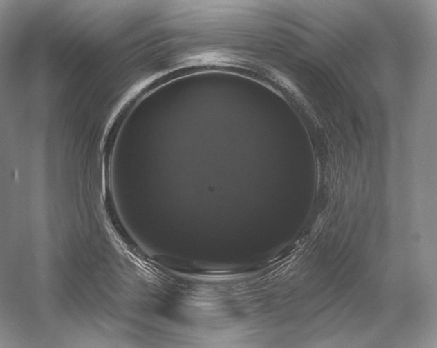 X0000059791323200510211107