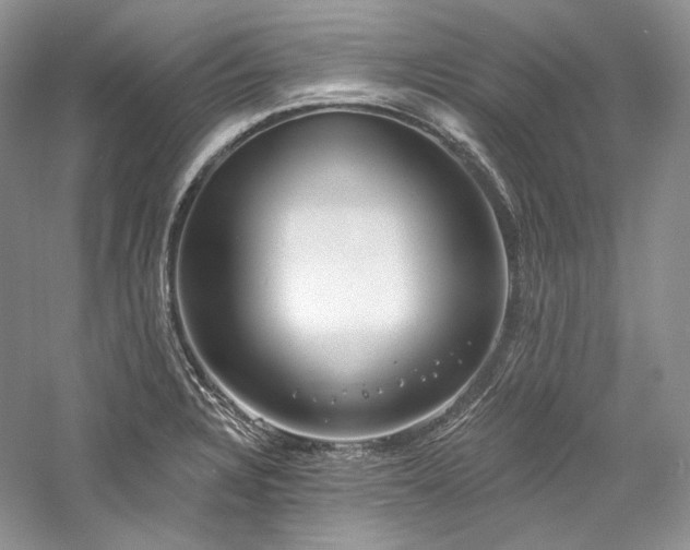 X0000059791328200510211107