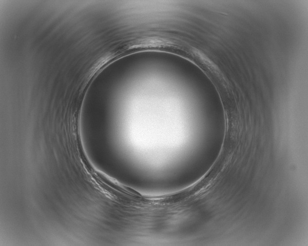 X0000059791329200510211107