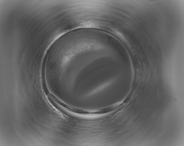 X0000059791331200510211107