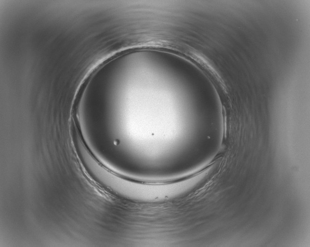 X0000059791332200510211107