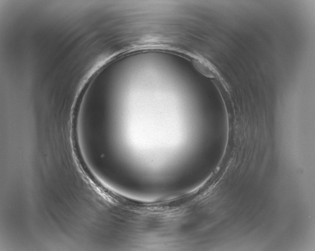 X0000059791333200510211107