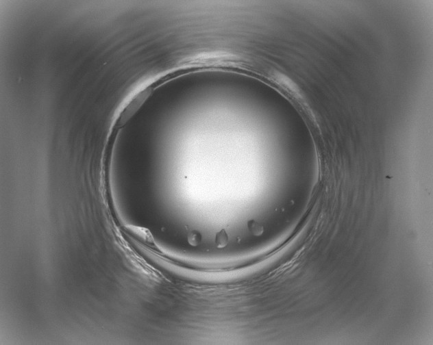 X0000059791336200510211107