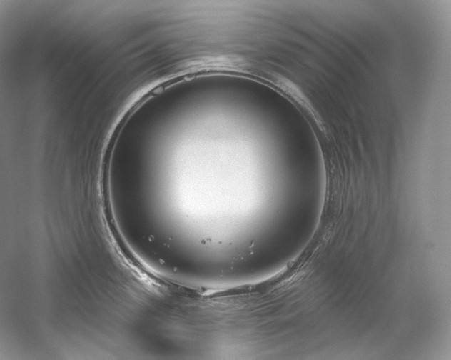 X0000059791339200510211107
