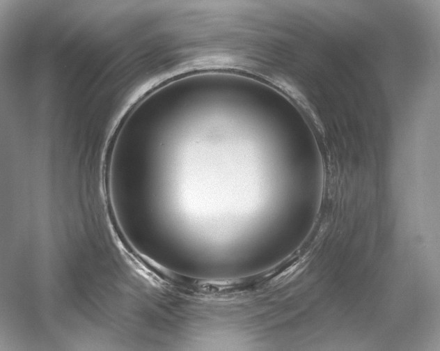 X0000059791342200510211107
