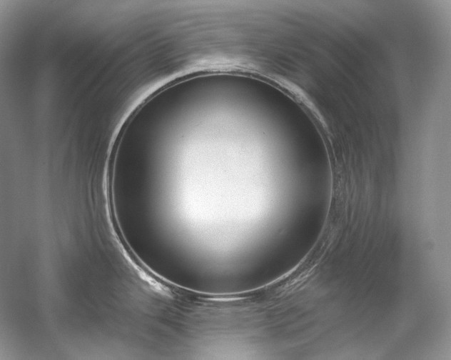 X0000059791343200510211107