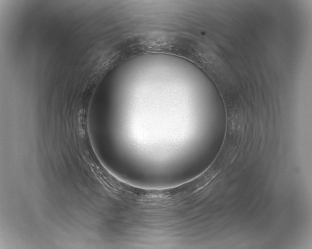X0000059791346200510211106