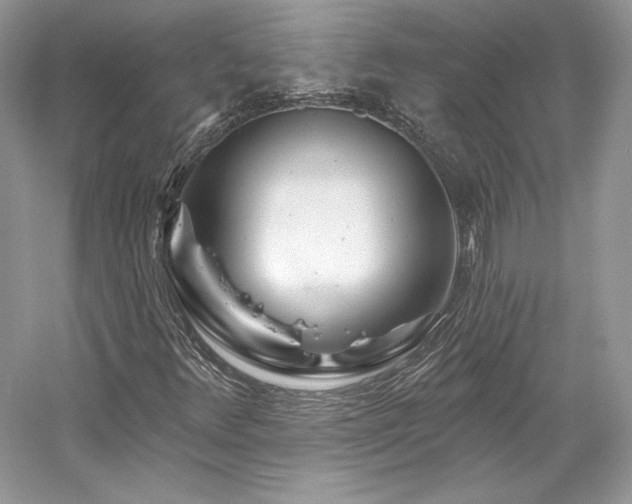 X0000059791348200510211106